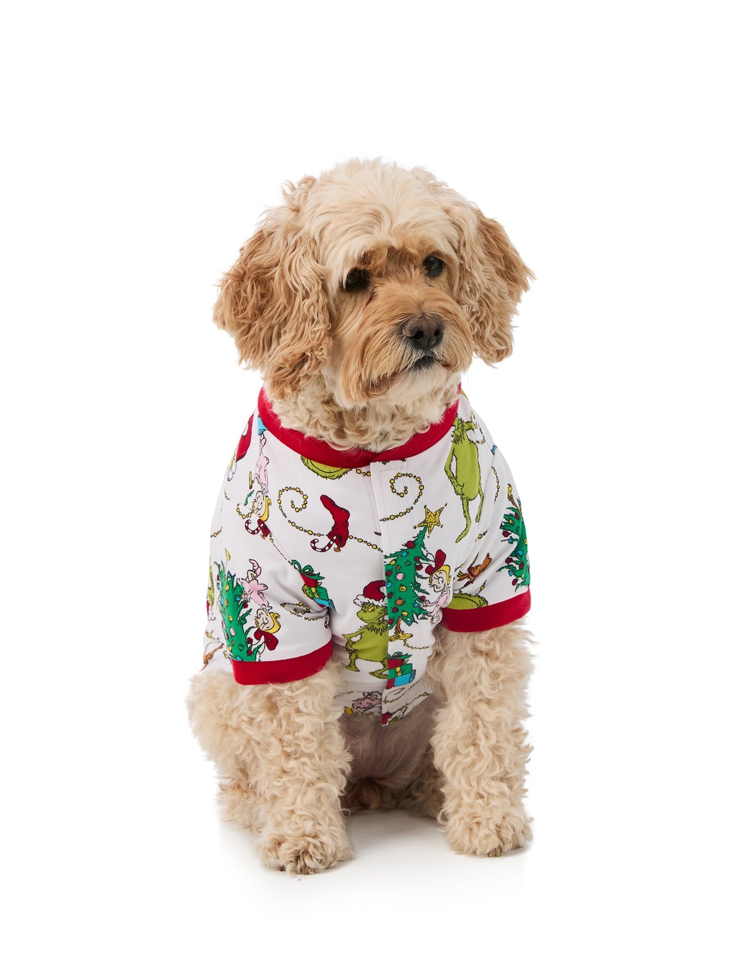 Dr. Seuss Grinch Pets Matching Family Pajamas, 1-Piece, Sizes XS-2XL